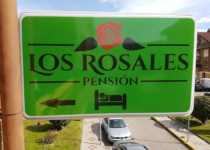 Guest house Rosales 3*